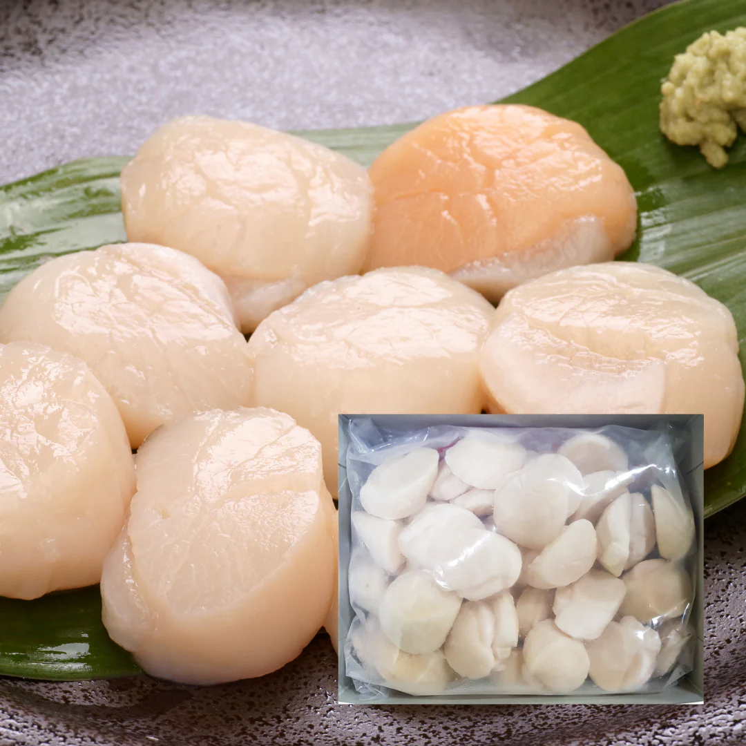 Hotate Scallop